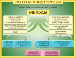 Стенд "Методы селекции и биотехнологии" - fgospostavki.ru - Лобня
