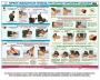 Комплект плакатов "Оказание первой доврачебной медицинской помощи" - fgospostavki.ru - Лобня
